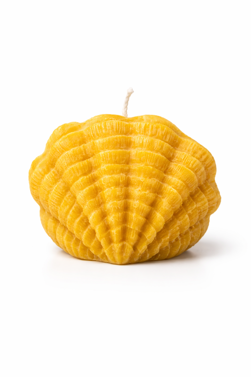 ChatGPT Image Feb 16, 2026, 09_36_00 PM