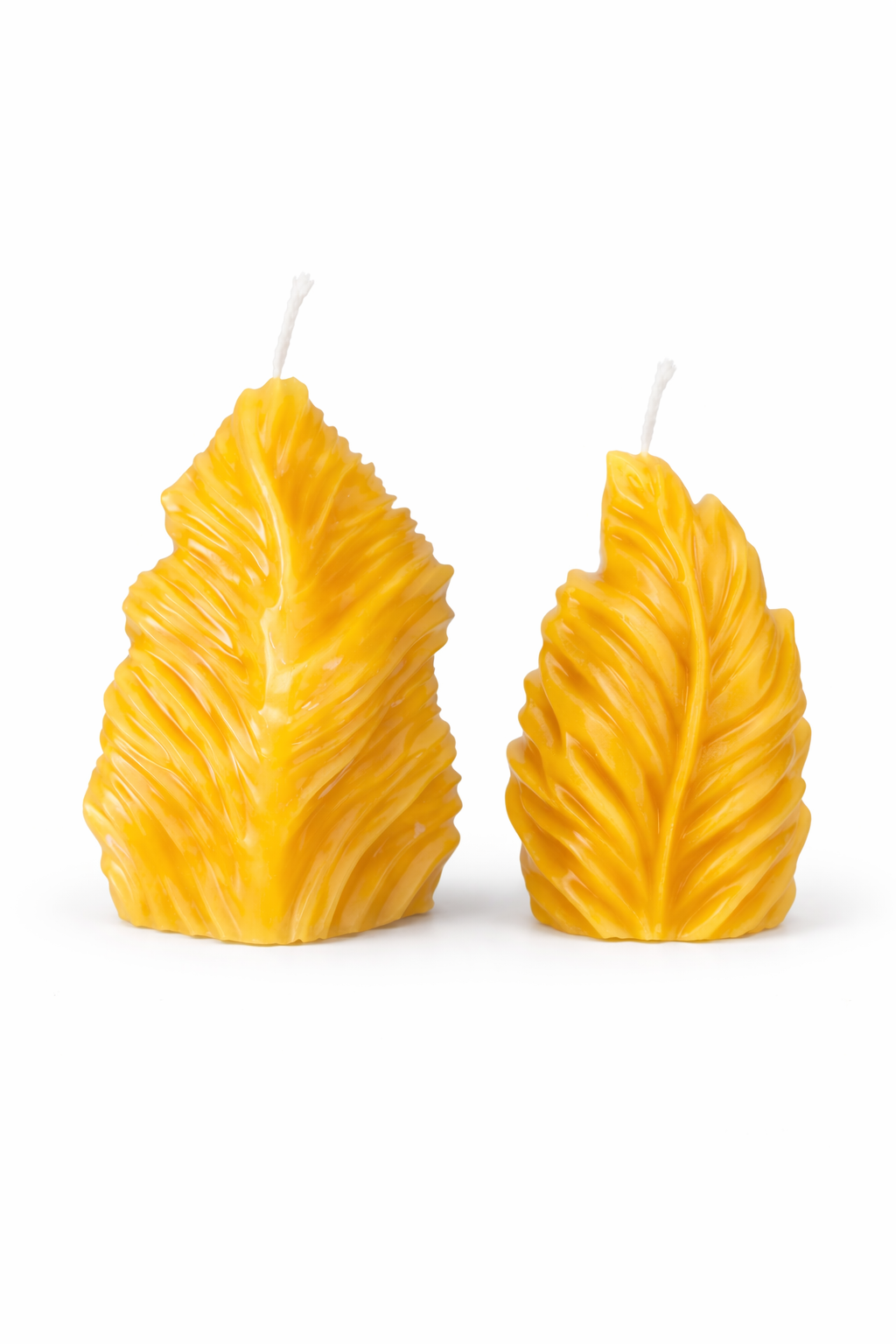 ChatGPT Image Feb 18, 2026, 03_22_15 AM (1)